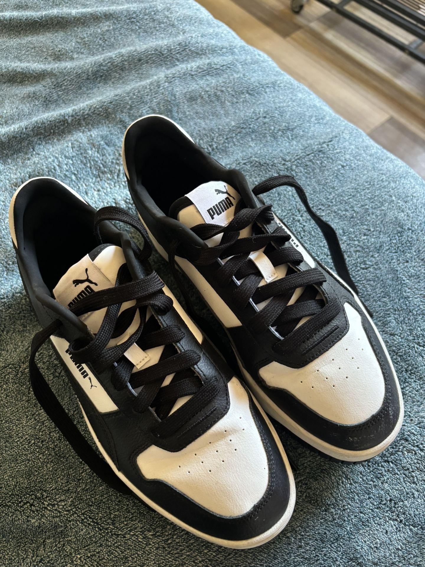 Pumas
