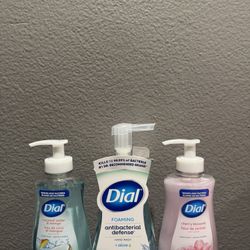 Dial Hand Soap Bundle