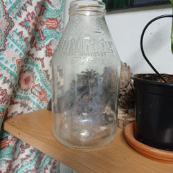 Vintage 1980s Collectible Clear Glass Gatorade Bottle