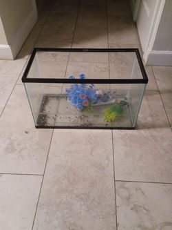 Fish tank