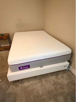Mattress/Spring Board/Frame