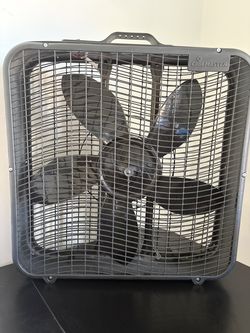 Black Floor Fan *Nearly New* *Must go by 8/29/26*