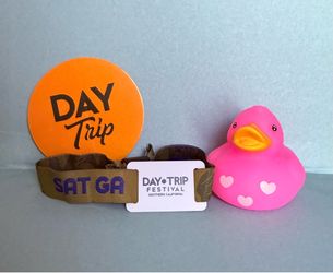 DAY TRIP DAY FEST - SATURDAY GA PASS (SINGLE DAY TICKET)