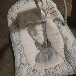 New Baby Rocker 