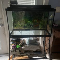 Fish Tank And Stand No Leaks With Everything Included 