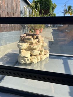 Exo Terra Large Low Natural Terrarium, measuring 36" x 18" x 12".