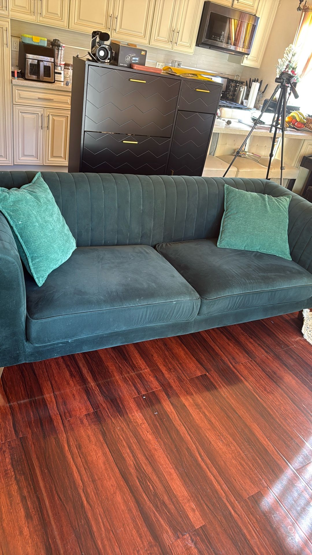 Green Velvet Couch