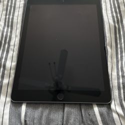 Silver I Pad 