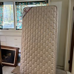 FREE Twin Mattress And Box Spring 