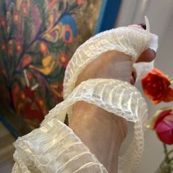 Snakeskin shed for use in mixed media Art 