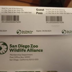 2 Adult San Diego Zoo Or Safari Park Tickets 