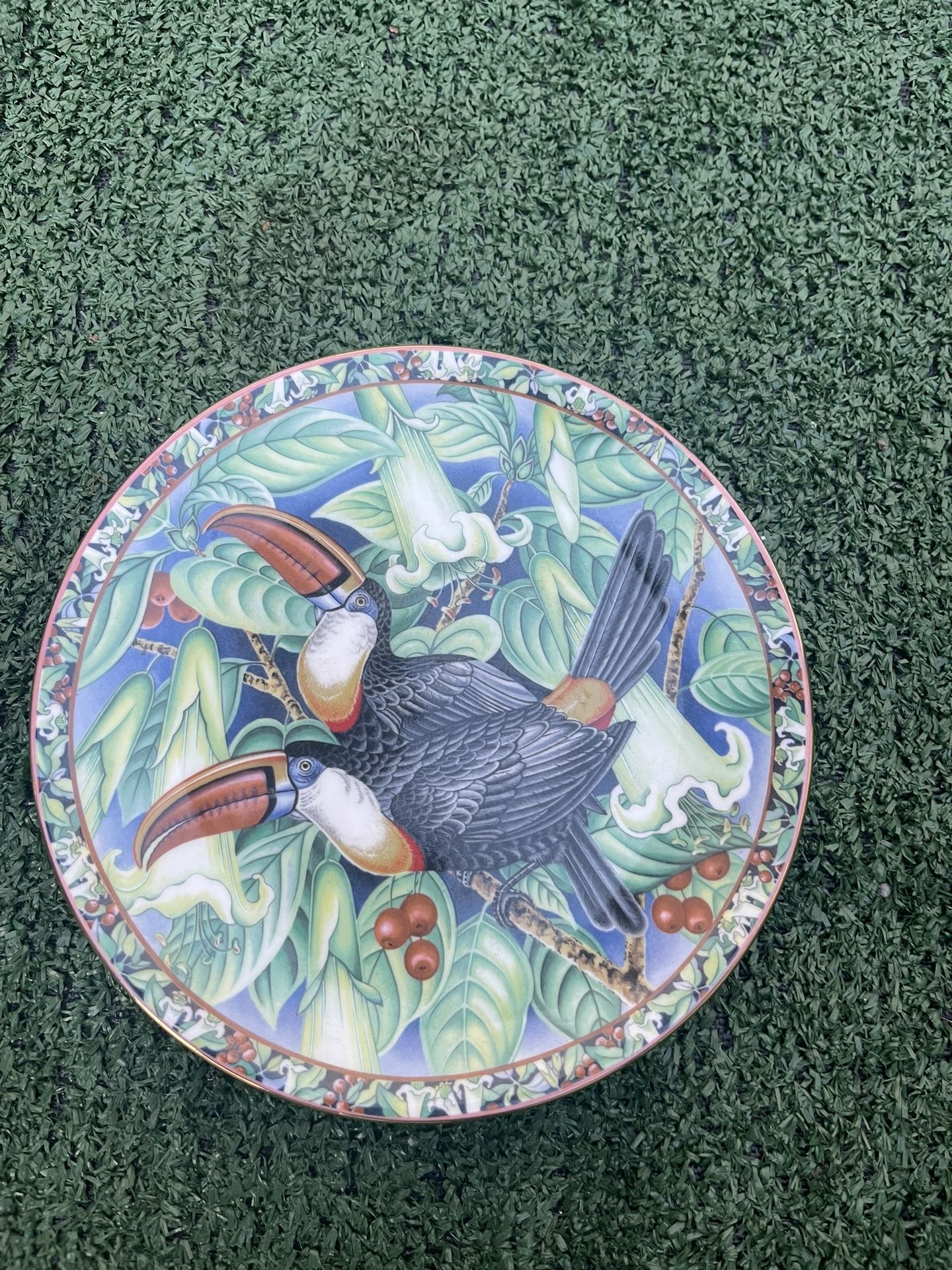 Exotic Birds Red-Billed Toucan Decorative Collectible Plate – Tropical Jungle Design