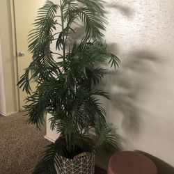 Artificial Plant For Sale Asking $40 Obo 