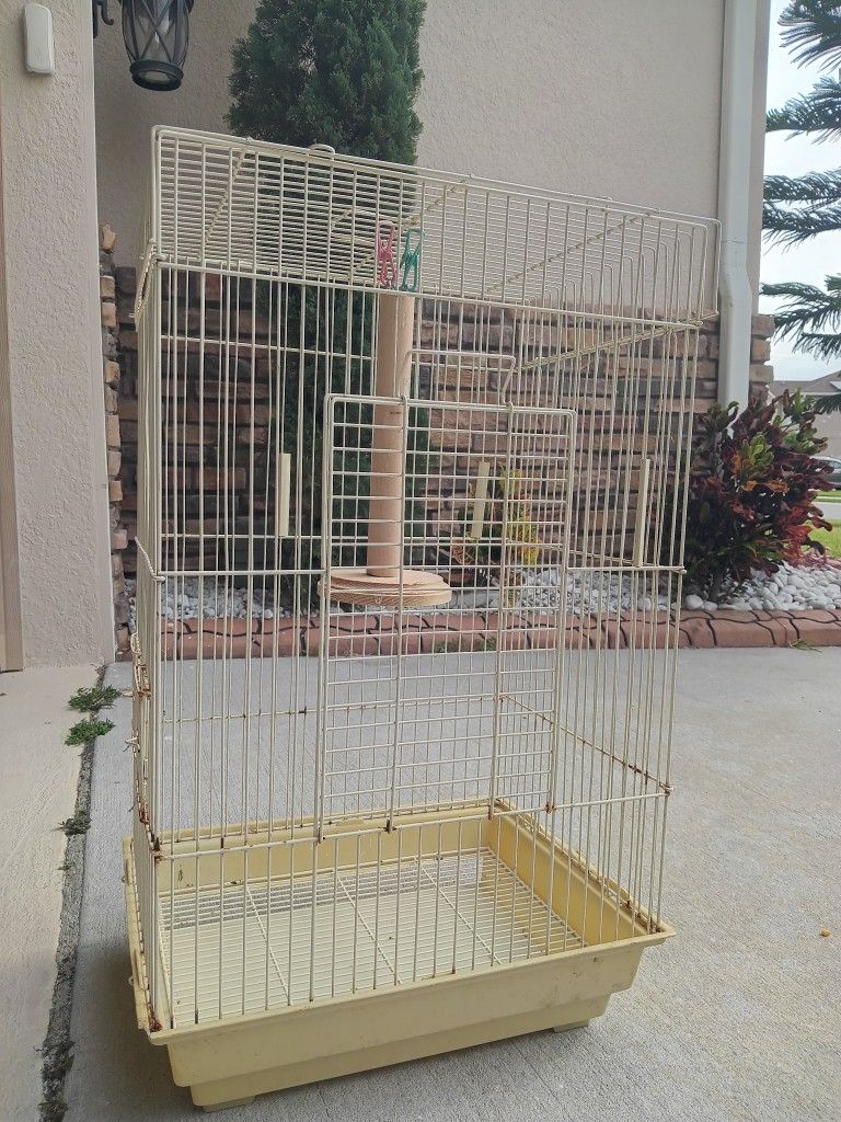 Birds Cage 