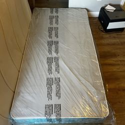 Free Twin Box Spring 