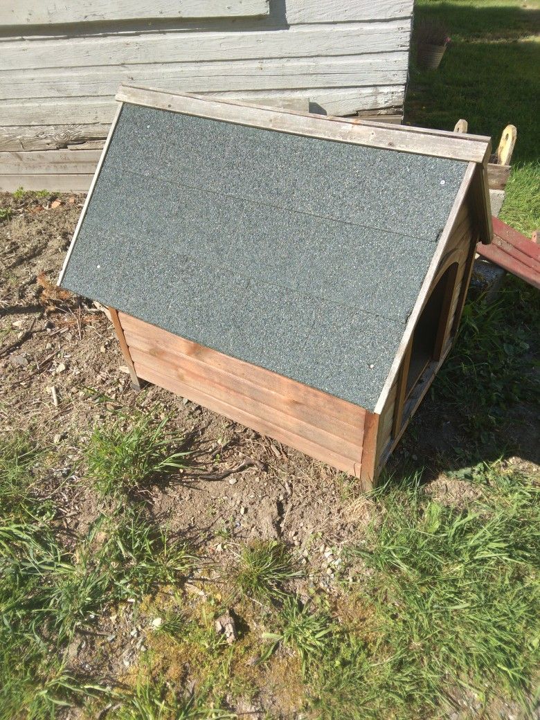 Dog House