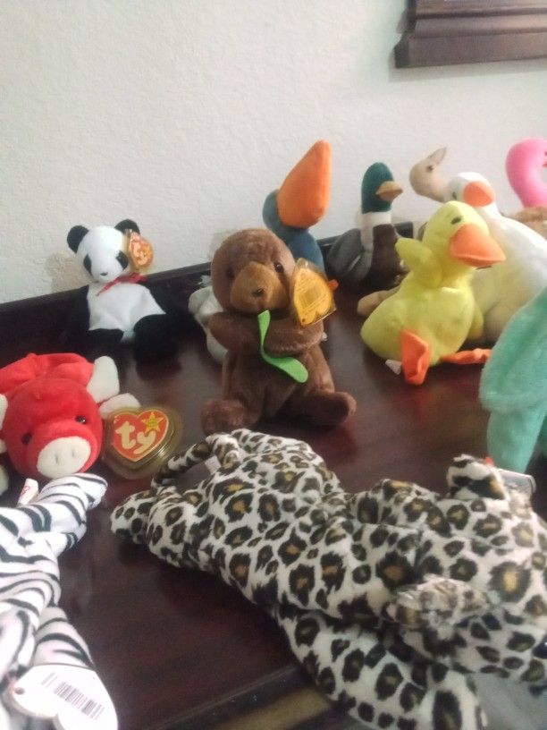 Beanie Baby Collection