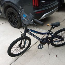 20" Schwinn All Oeginal