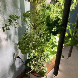 3.0 Smart Hydroponics Gardyn