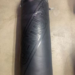 Century Oversized Punching Bag 