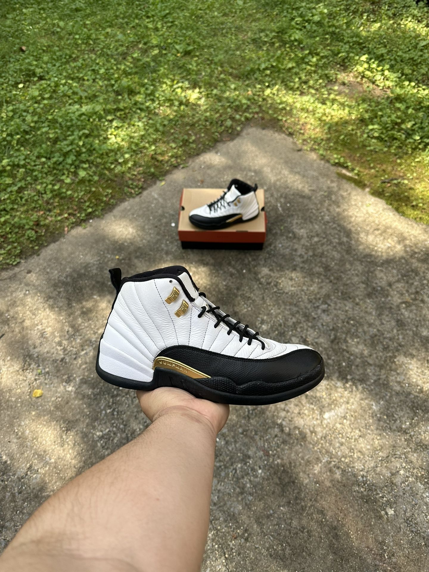 Jordan 12 Royal Taxis