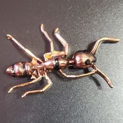 Ant Brooch