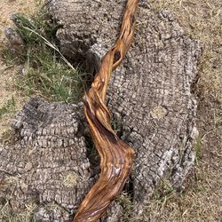 Beautiful juniper wood