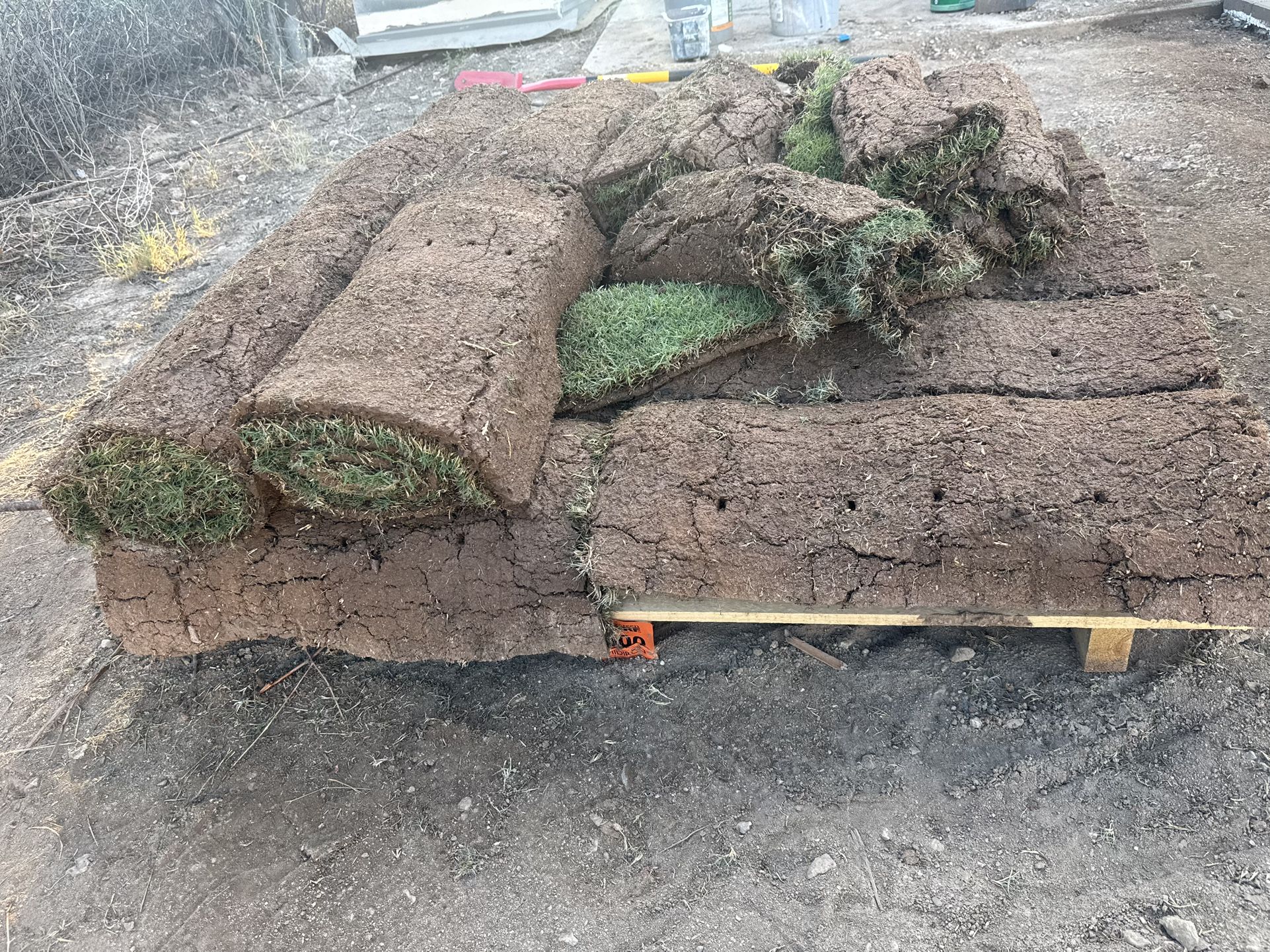 Midiron Sod About 150sq ft