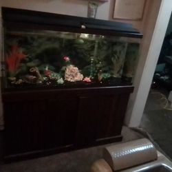 Fish Tank