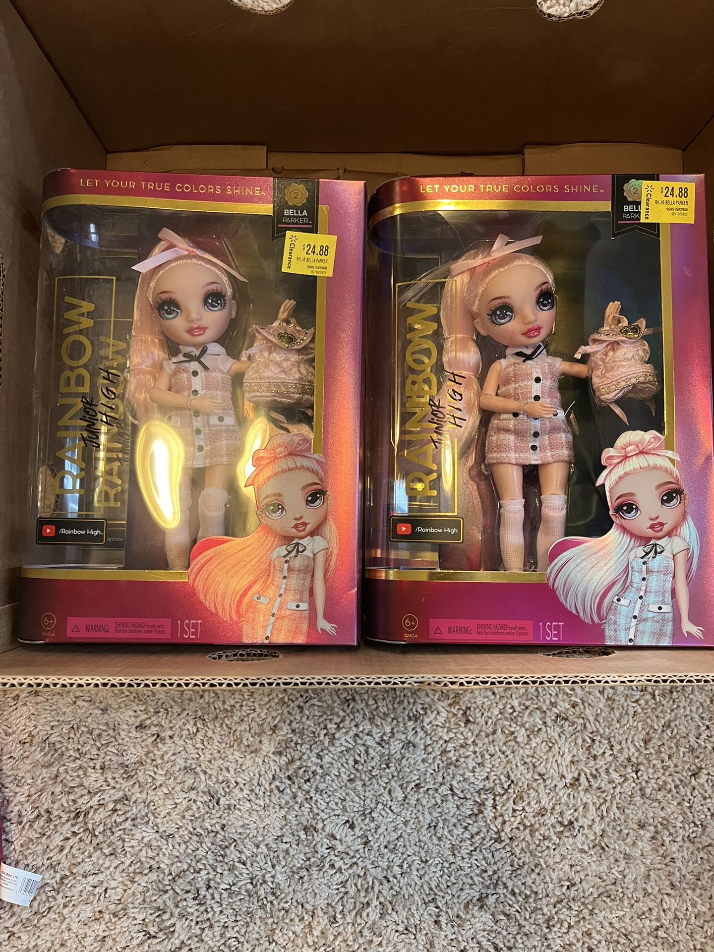 Rainbow High Doll Lot