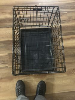 Small Dog Or Cat Cage