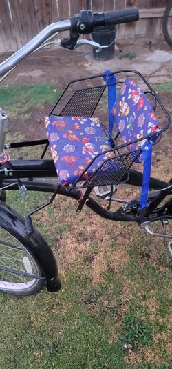 Ride along child seat for bike
