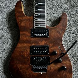Electric Guitar