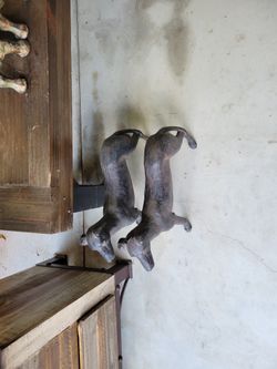 Wooden Dogs, Porcelain Rhinos