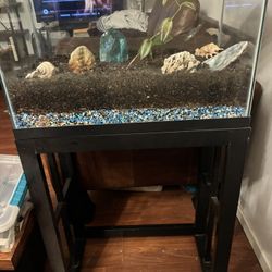 30 Gallon Aquarium With Pump, Stand, Filters