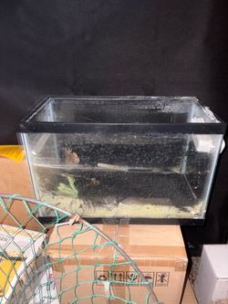 Aquarium 5 gallon Betta, Beetles, Nano fish Fish Tank Decor