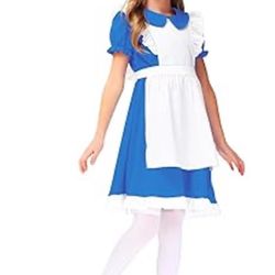 Alice In Wonderland Costume 