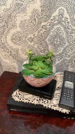 Faux succulent decoration
