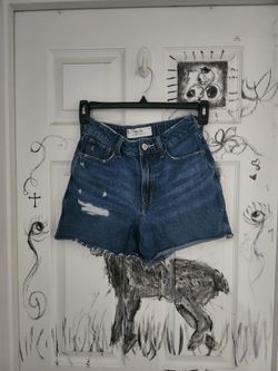 Hollister shorts