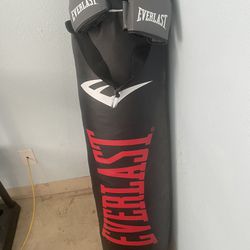 Everlast Boxing Gloves And Punching Bag 