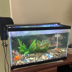 10Gal Fish Tank