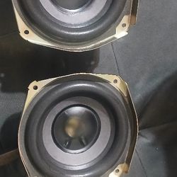 Bose Mini Subwoofers 