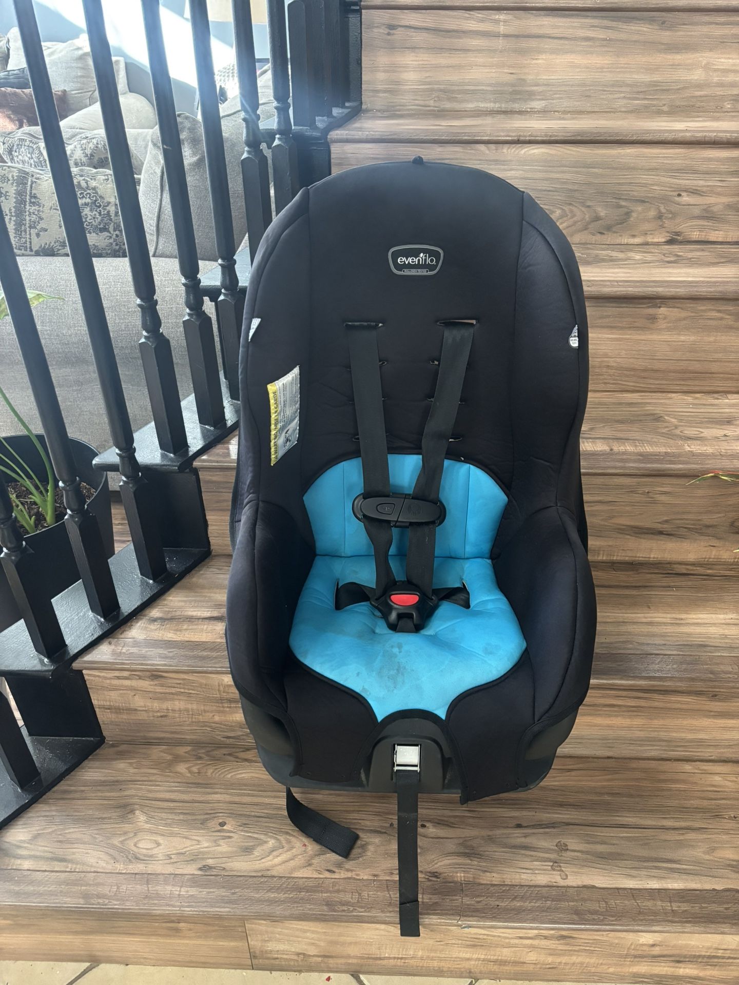 Buster Car Seat