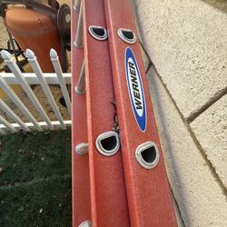 Werner Professional Ladder 