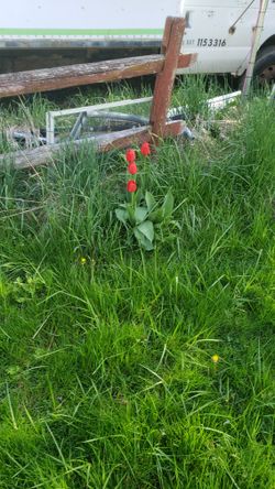 Free Dry Privacy Fence