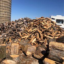 Firewood 