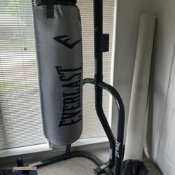 Everlast Boxing Bag And Stand