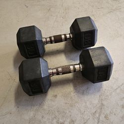 30 lbs Weights (Pair)