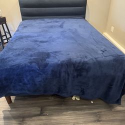 Queen Bed frame and mattress
