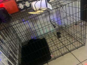 LARGE dog cage used